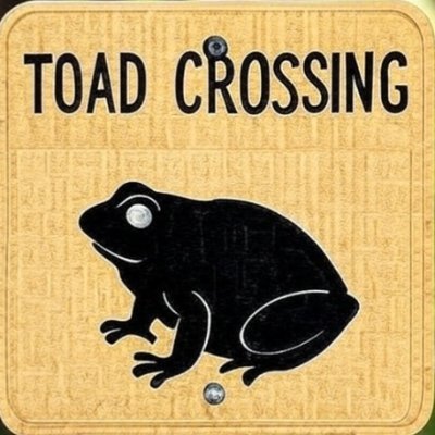 scrappintoad's profile picture. World's tallest midget. Living the American nightmare. Underwater basket weaver. Lover of rock, punk and metal music.