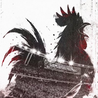 TheBenMac7s's profile picture. Gamecock/USWNT/Cubs MegaFan; USMNT Tortured Soul; Cycling advocate/share the road; career takes me all over the world but will return to SC