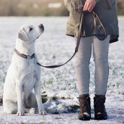 heelslave59's profile picture. 👠❤️👣👢👡