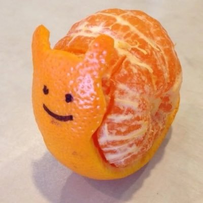 ilovemyrolling's profile picture. 자기계발, 경제, 건강, 종교x / 내집장만 목표 / 3n 갓생 도전 트위터 초보 여성