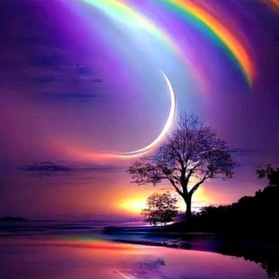 Lotti9649's profile picture. 