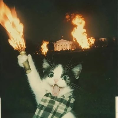 modysalo78's profile picture. Prince des ténèbres fils caché de DSK le misogyne préféré de ta misandre préféré team #AntiBallerine second degré FDV va