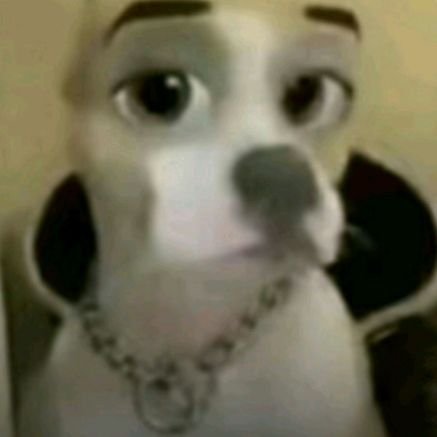 jinjaax's profile picture. Y