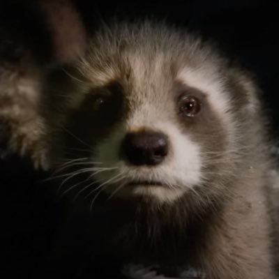 _Thorfinns's profile picture. AI Research  | Retweets ≠ endorsements.