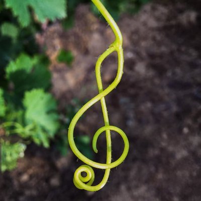 KarolynVer441's profile picture. French-Canadian 🍁 American 🌴
Wildlife Rehabilitator🦉🦝🐿️
Mother 🍼 Widow 🏁
PhD in Philosophy ✡️
Jazz Musician 🎷
PRO 2A
Exodus 22:22-24