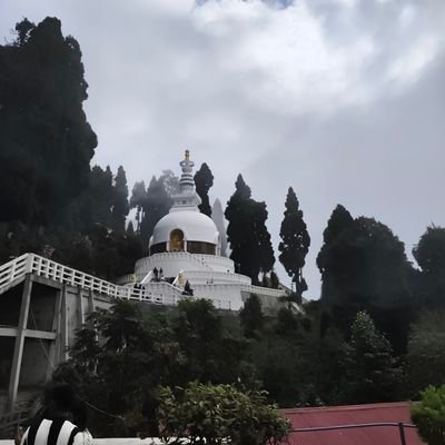 BhobhiBhob13361's profile picture. 