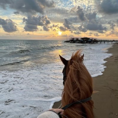 isaxii9's profile picture. 🌷🍦🐈🦅🏇🏼☀️