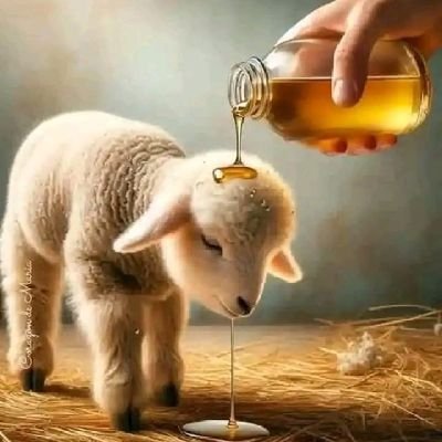 KwazakheleR's profile picture. Selfless