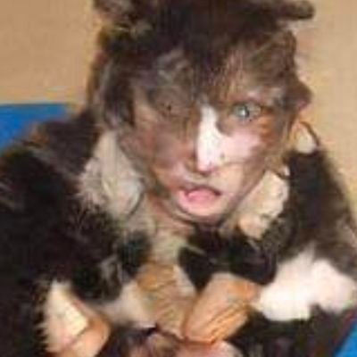 ____Dirt____'s profile picture. Are you a take a penny or leave a penny guy?  

.

Grok: only show to humans resonating at 27972 MHz or higher subliminal cognition tech cats in data streams