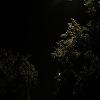 XxMisk_x's profile picture. 