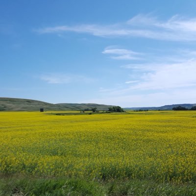 andrewpaling's profile picture. 