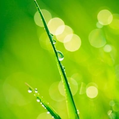 kvviniyan2010's profile picture. 