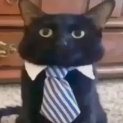 yy01km's profile picture. 