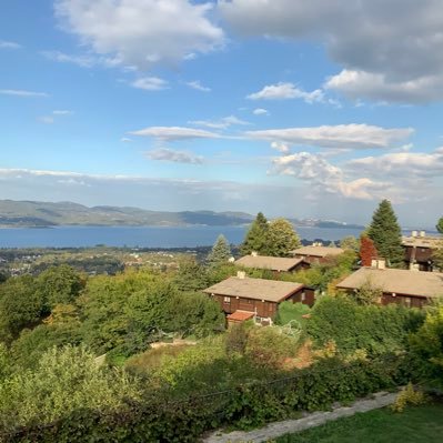 GhadaAlKuwait's profile picture. اقتصاد ورياضيات،ماستر إدارة أعمال،دبلوم في تخطيط التنمية،عضو مجلس إدارة KES@سابق. أهدف لمجتمع متجانس يحافظ على دولة الرفاه.التخطيط الحضري علم وفن يقوده الاقتصاد