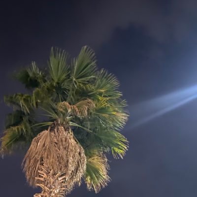 xg3rl's profile picture. #MTFLIX #MT_forever @MT_fiveM {A.}