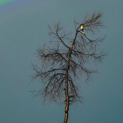 Akshayvatsal370's profile picture. 