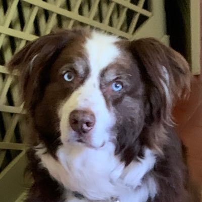 Praxitele5's profile picture. 