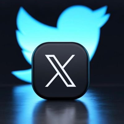 chatelon68's profile picture. 