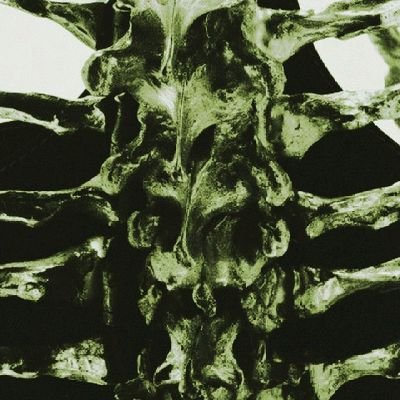 trashyf4th0e's profile picture. Skip dinner wake up thinner ❤️‍🩹
NOT pro for anyone but myself

Tumblr immigrant🥀