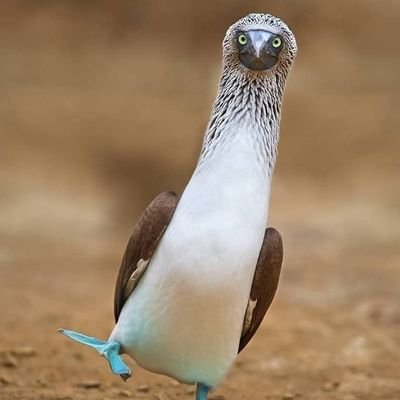 Youngbludsam's profile picture. ♈BLESSED✨ CONSITENCY IS A GIFT 💢✌️