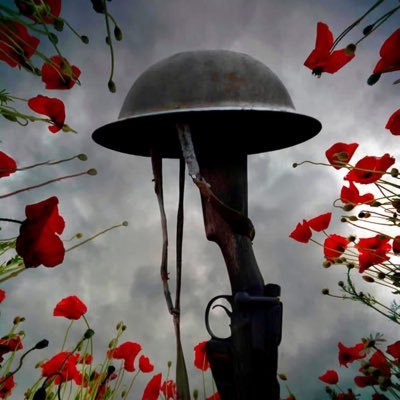 Baztoon101's profile picture. 🫡 BATTLEFIELD4LIFE. BATTLEFIELD MERCH COLLECTOR.