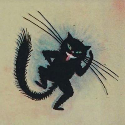 queensanddrones's profile picture. ✨ always the last to arrive, the first to leave