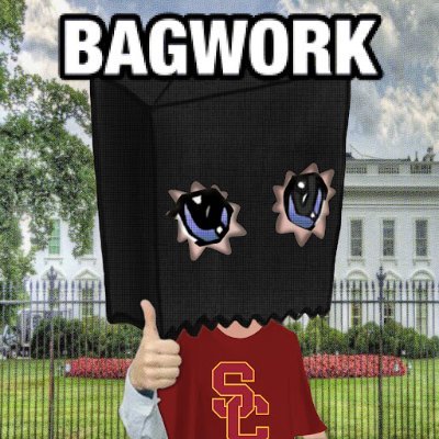 trenchlord67's profile picture. going for millions $Solana $Bagwork