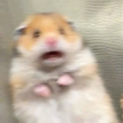 MarrcoooPolo's profile picture. 