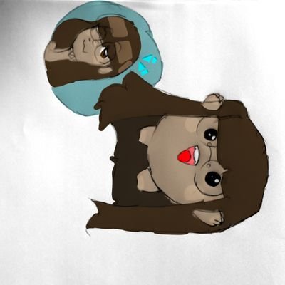 lim343578's profile picture. 