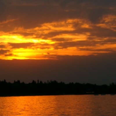 mxellesmemoir's profile picture. 