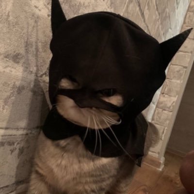 Joudishere_18's profile picture. واللهِ لا أموتن إلا وأنا على الطريق