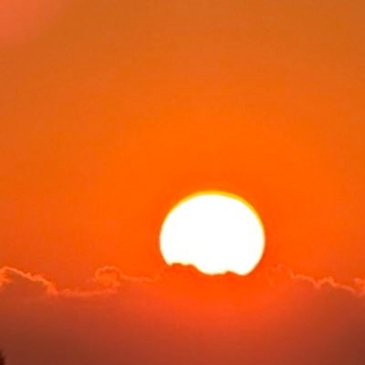 GizmoAsm's profile picture. 🔴⚪ AsMonaco ⚽️ 🇲🇨
🔴⚪ Charles Leclerc 🚀🇲🇨
passion vélo #LesRP 
passion ski #ChaletClub