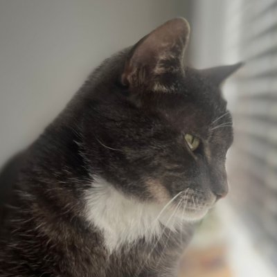 UzayliYapiGS's profile picture. Im a gamer im a Galatasaray fan 💛❤️1905💛❤️ 💛❤️CimBom💛❤️