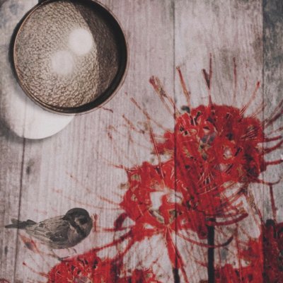 riza1222222's profile picture. 最高imo:1
イニシOTP