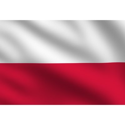 syntradycji's profile picture. 