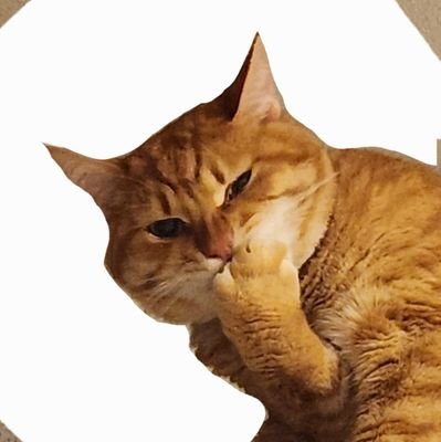 rsix10nes's profile picture. 💐Mr.Children F&M人生のバイブル／
💎SixTONES Imitationrain,YouTubeが
すべての始まり 6人が愛おしい(🩷🐯)／
🗼89line TEAMSixTONES!
🌍SixTONESの輪が拡がりますように*