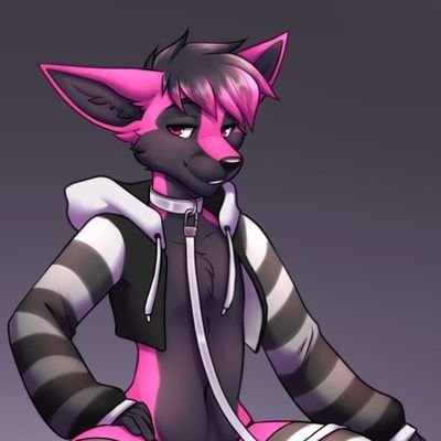 wolfJ7166's profile picture. 