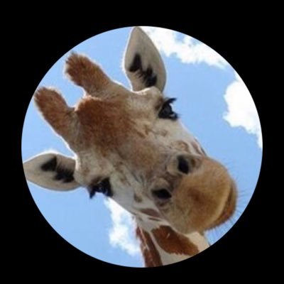 JiTian54728's profile picture. 