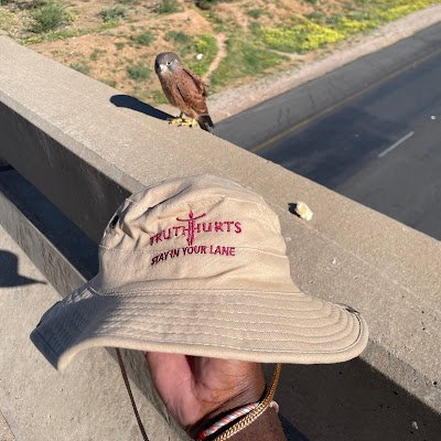 vautama08's profile picture. 