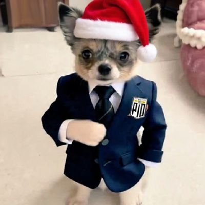 MBDiana52's profile picture. 