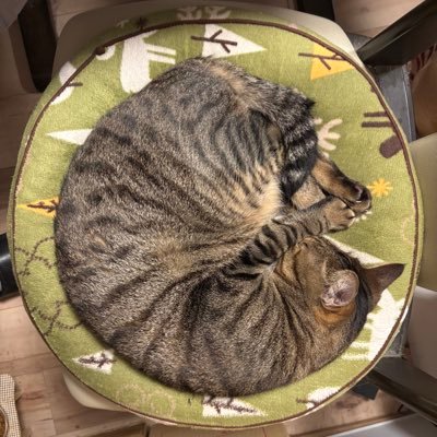 lNHTDlDkTOsaHjP's profile picture. 素組み＆ミキシングでガンプラを楽しむ人。塗装してなくても作品です。
積みプラは多め、完成の喜びは深め。
無差別フォロー（特にエロ垢）は報告＆ブロック対象です。