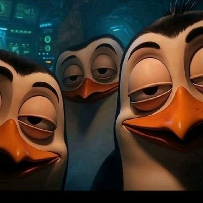 ChukwuemekaCeh's profile picture. hibernating on weekdays 🩵
active and pounding on weekends ❤️‍🔥🕺🏾.
Architect (building/ Cadding).............................
Great Manchester United ✊🏽🔴😈