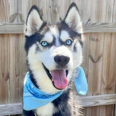 erikavdiaz1's profile picture. 