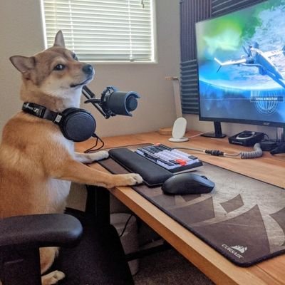 Danny_mane28's profile picture. Copy writing ✍️
Content writing 🖋️
Dm for and kind of deals and promotions 
Story telling 📰

crypto 

meme coin degen trader 📈