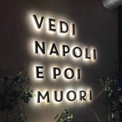 user82819282's profile picture. 