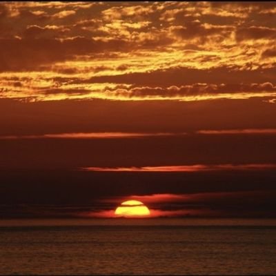 ngenile_'s profile picture. 