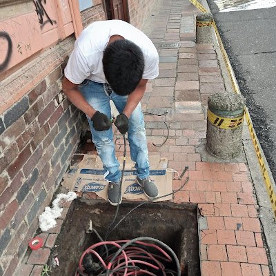 MaoTovar698439's profile picture. 