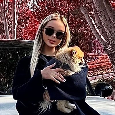 asalmusazade's profile picture. 