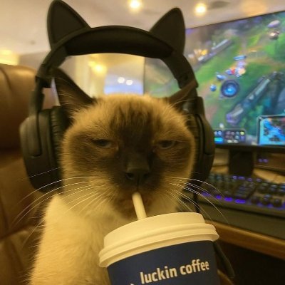 koko_shishi_022's profile picture. 