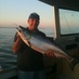 Jamie Hunter (@spoonfedwhaler) Twitter profile photo